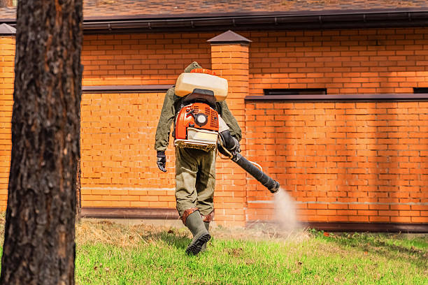 Top rated local Mosquito Control specialists in Bel Air North, MD